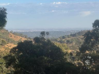 Lifestyle For Sale - SA - Montacute - 5134 - Feel on top of the world  (Image 2)