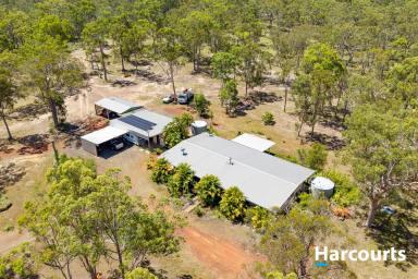 House For Sale - QLD - Redridge - 4660 - OPPORTUNITY NOT TO BE MISSED - 341 ACRES + 4 BED HOME  (Image 2)
