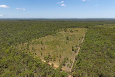 House For Sale - QLD - Redridge - 4660 - OPPORTUNITY NOT TO BE MISSED - 341 ACRES + 4 BED HOME  (Image 2)