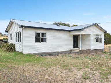 House For Sale - TAS - Bothwell - 7030 - Country Living at Its Best - 3-Bedroom Home on 5 Acres  (Image 2)