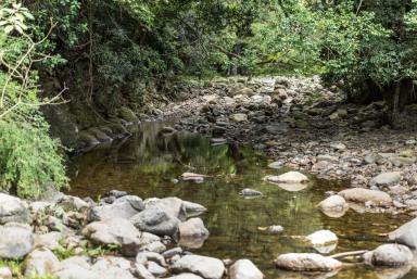 Lifestyle For Sale - NSW - Foxground - 2534 - 'Franks Farm' Free Selectors Road Foxground  (Image 2)