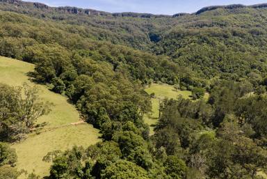 Lifestyle For Sale - NSW - Foxground - 2534 - 'Franks Farm' Free Selectors Road Foxground  (Image 2)