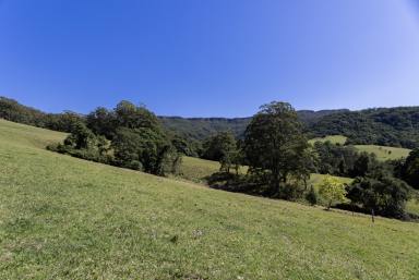 Lifestyle For Sale - NSW - Foxground - 2534 - 'Franks Farm' Free Selectors Road Foxground  (Image 2)