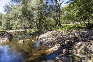 Lifestyle For Sale - NSW - Foxground - 2534 - 'Franks Farm' Free Selectors Road Foxground  (Image 2)