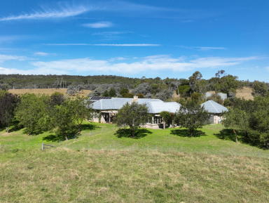 Acreage/Semi-rural For Sale - NSW - Paddys River - 2577 - Glencoe — Southern Highlands, New South Wales  (Image 2)