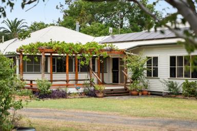 Cropping For Sale - QLD - Southbrook - 4363 - ESSEX - Gore Highway Southbrook  (Image 2)