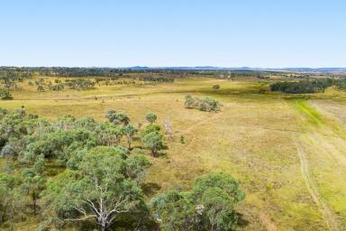 Farmlet For Sale - QLD - Southbrook - 4363 - 19.92 acres to creater your own dream  (Image 2)