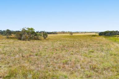 Farmlet For Sale - QLD - Southbrook - 4363 - 33.17 acres of lifestyle opportunity  (Image 2)