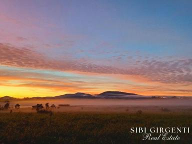 Acreage/Semi-rural Sold - QLD - Koah - 4881 - PRICE CHANGE Private Rural Retreat in Sought-After Koah – 5 Usable Acres  (Image 2)