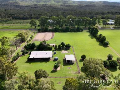 Acreage/Semi-rural For Sale - QLD - Koah - 4881 - PRICE CHANGE Private Rural Retreat in Sought-After Koah – 5 Usable Acres (Image 2)