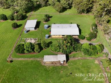 Acreage/Semi-rural For Sale - QLD - Koah - 4881 - Private Rural Retreat in Sought-After Koah – 5 Usable Acres (Image 2)