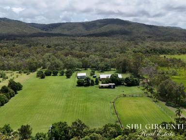Acreage/Semi-rural For Sale - QLD - Koah - 4881 - Private Rural Retreat in Sought-After Koah – 5 Usable Acres  (Image 2)