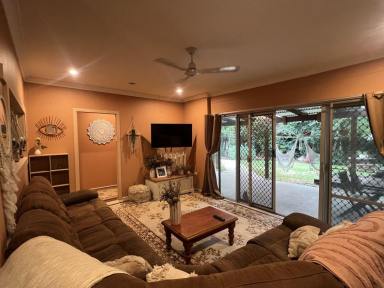 House For Sale - NSW - Moree - 2400 - Tucked away, Private Home - Greenery!  (Image 2)