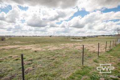 Residential Block Sold - NSW - Glen Innes - 2370 - Prime Vacant Land in a Peaceful Glen Innes Location  (Image 2)