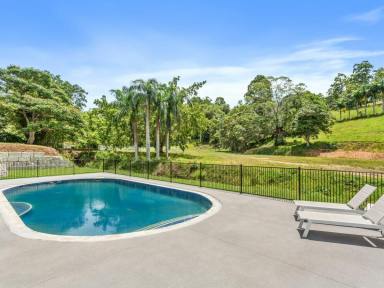 Acreage/Semi-rural For Sale - QLD - Tallai - 4213 - EXPANSIVE, FOR THE WHOLE FAMILY IN TALLAI’S BEST POSITION  (Image 2)