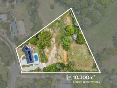 Acreage/Semi-rural For Sale - QLD - Tallai - 4213 - EXPANSIVE, FOR THE WHOLE FAMILY IN TALLAI’S BEST POSITION  (Image 2)