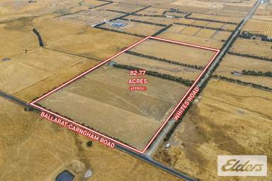 Other (Rural) Auction - VIC - Cardigan - 3352 - Auction | Strategic Farming Land Adjacent Ballarat Growth Corridor  (Image 2)