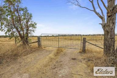 Other (Rural) Auction - VIC - Cardigan - 3352 - Auction | Strategic Farming Land Adjacent Ballarat Growth Corridor  (Image 2)