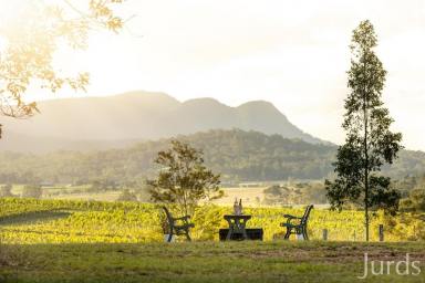 Lifestyle For Sale - NSW - Pokolbin - 2320 - RACECOURSE LANE - HUNTER VALLEY WINE COUNTRY (Image 2)