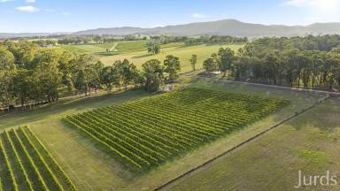 Lifestyle For Sale - NSW - Pokolbin - 2320 - RACECOURSE LANE - HUNTER VALLEY WINE COUNTRY  (Image 2)