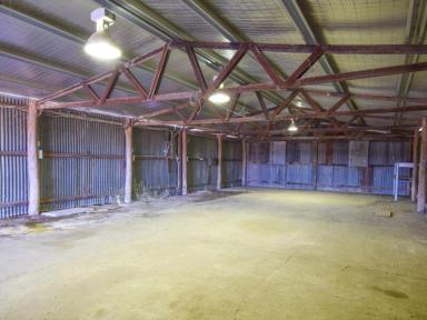 Residential Block For Sale - NSW - Maimuru - 2594 - 21acs* 10 Minutes from Town with Power Already Connected  (Image 2)