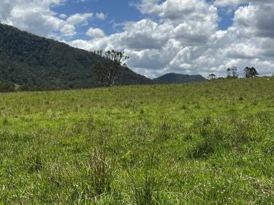 Residential Block For Sale - NSW - Kyogle - 2474 - TAKE YOUR PICK  (Image 2)