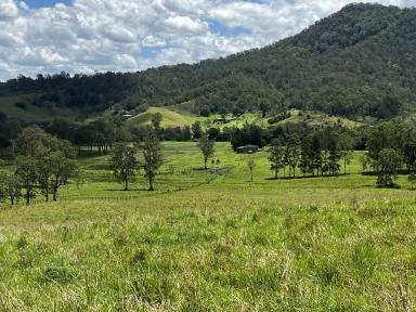 Residential Block For Sale - NSW - Kyogle - 2474 - TAKE YOUR PICK  (Image 2)