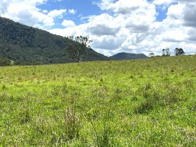 Residential Block For Sale - NSW - Kyogle - 2474 - TAKE YOUR PICK  (Image 2)