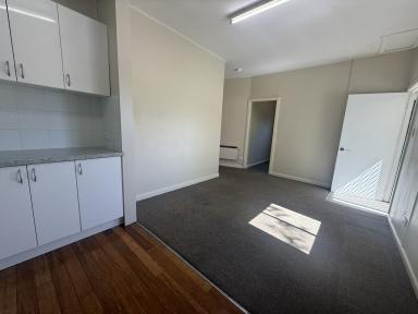 Unit For Lease - NSW - Cooma - 2630 - 1/8 Denison Street, Cooma  (Image 2)
