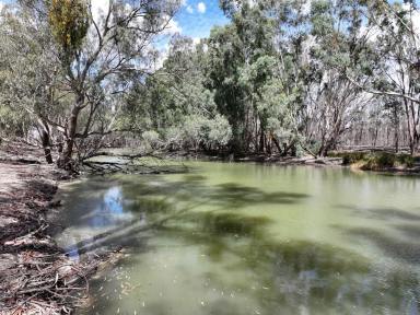 Residential Block For Sale - NSW - Wentworth - 2648 - LIFESTYLE ON THE CREEK  (Image 2)