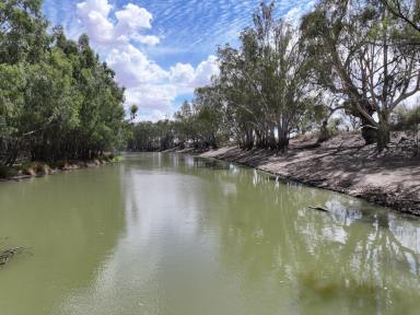 Residential Block For Sale - NSW - Wentworth - 2648 - LIFESTYLE ON THE CREEK  (Image 2)