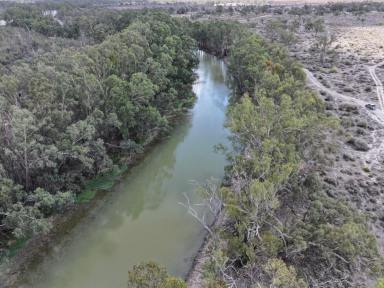 Residential Block For Sale - NSW - Wentworth - 2648 - LIFESTYLE ON THE CREEK  (Image 2)