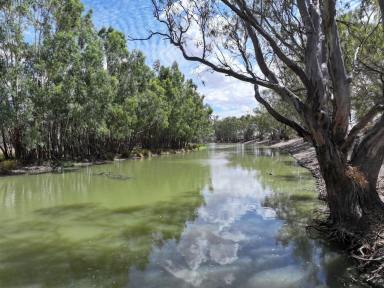 Residential Block For Sale - NSW - Wentworth - 2648 - LIFESTYLE ON THE CREEK  (Image 2)