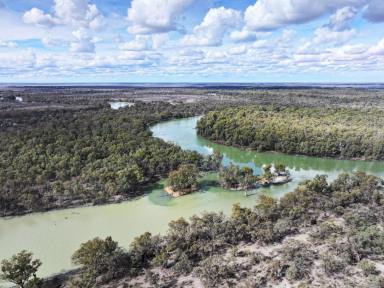 Lifestyle For Sale - NSW - Wentworth - 2648 - FREEHOLD RIVERFRONT PROPERTY  (Image 2)