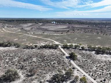 Lifestyle For Sale - NSW - Wentworth - 2648 - RIVERFRONT TO BOTH MURRAY RIVER & DARLING ANABRANCH  (Image 2)