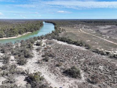 Lifestyle For Sale - NSW - Wentworth - 2648 - RIVERFRONT TO BOTH MURRAY RIVER & DARLING ANABRANCH  (Image 2)