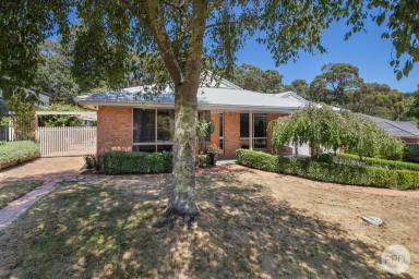 House Sold - VIC - Mount Helen - 3350 - Unique Family Home in Tranquil Setting with Side Access and Shedding  (Image 2)
