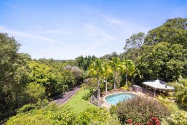 House For Sale - QLD - Doonan - 4562 - Private Elevated Hinterland Retreat - Just Minutes from Noosa  (Image 2)