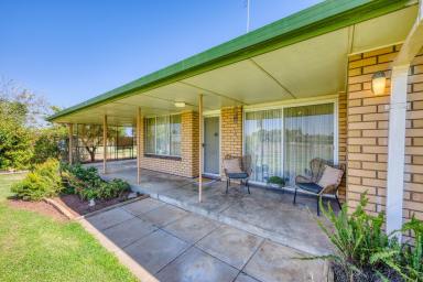 House For Sale - VIC - Irymple - 3498 - RARE IRYMPLE OPPORTUNITY ON AN ACRE  (Image 2)