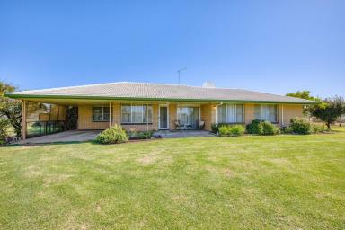 House For Sale - VIC - Irymple - 3498 - RARE IRYMPLE OPPORTUNITY ON AN ACRE  (Image 2)