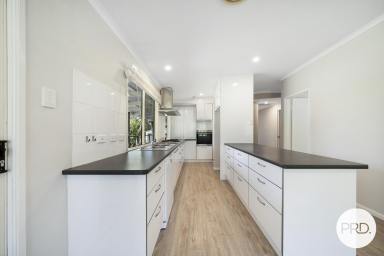 Acreage/Semi-rural Auction - NSW - Johns River - 2443 - Tranquil Johns River Acreage Offering Space, Comfort and Lifestyle  (Image 2)