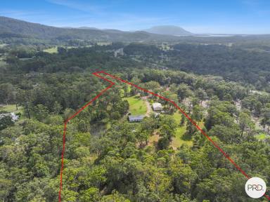 Acreage/Semi-rural For Sale - NSW - Johns River - 2443 - Tranquil Johns River Acreage Offering Space, Comfort and Lifestyle (Image 2)