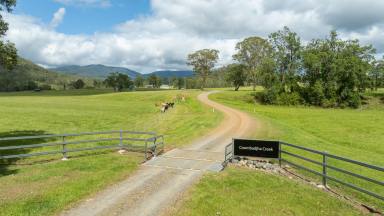 Other (Rural) For Sale - NSW - Coombadjha - 2460 - A Self-Reliant Lifestyle Retreat in a Secluded Mountain Valley  (Image 2)