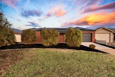 House For Sale - NSW - Gol Gol - 2738 - Low Maintenance Living with Space and Comfort  (Image 2)