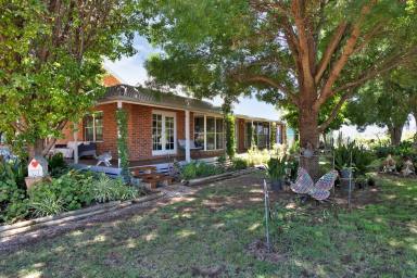 House For Sale - NSW - Gol Gol - 2738 - Rural Lifestyle with Warmth and Endless Possibility  (Image 2)
