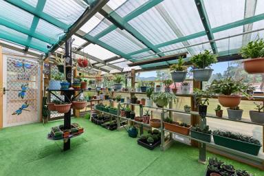 House For Sale - TAS - Queenstown - 7467 - Space, Character & Versatility on 2120m² in the Heart of Queenstown  (Image 2)