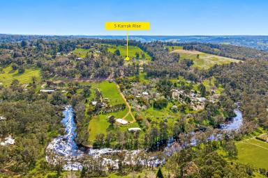 House For Lease - WA - Bridgetown - 6255 - BEAUTIFUL PROPERTY FOR RENT  (Image 2)