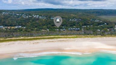 House For Sale - QLD - Point Lookout - 4183 - A dual living (plus studio) lifestyle investment 100m from the beach  (Image 2)