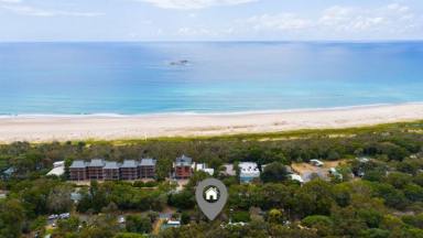 House For Sale - QLD - Point Lookout - 4183 - A dual living (plus studio) lifestyle investment 100m from the beach  (Image 2)