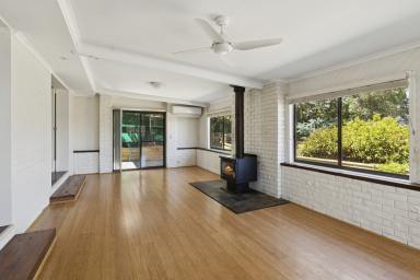 House For Sale - VIC - Seymour - 3660 - One To Chirp About...  (Image 2)